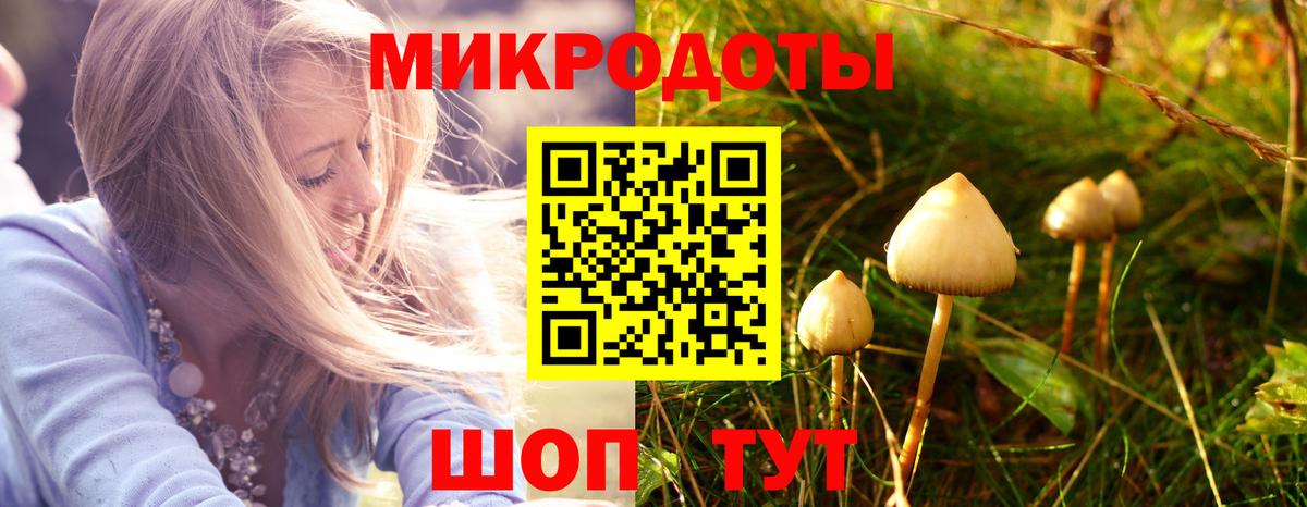 Псилоцибиновые грибы GOLDEN TEACHER  Галлюциногенные грибы Psilocybine cubensis  Вход с VPN  Салават 